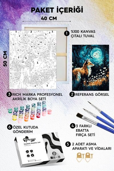 Yıldızlı Gecede Tilki Sayılarla Boyama Seti