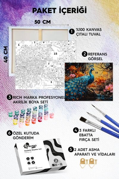 TavusKuşu Sayılarla Boyama Seti