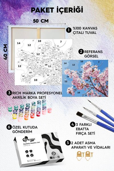 Sakura Ağacı Ve Çiçeği Sayılarla Boyama Seti 35x50 cm | Picasso