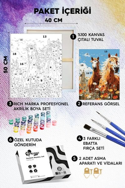 İhtişamlı Atlar Sayılarla Boyama Seti