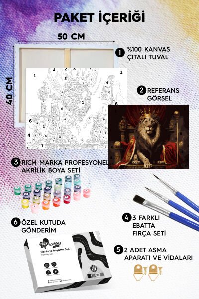 Aslan Kral Sayılarla Boyama Seti