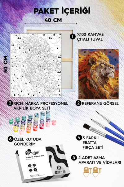 Alemin Aslanı Sayılarla Boyama Seti