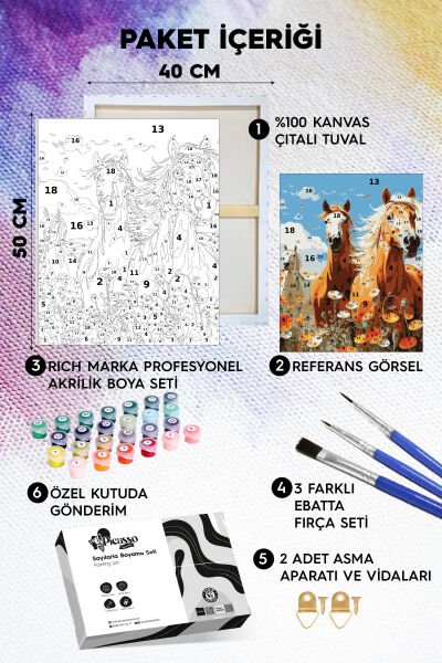 Atların İhtişamı Sayılarla Boyama Seti