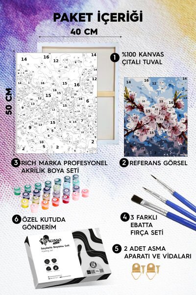 Kiraz Çiçeği Sayılarla Boyama Seti