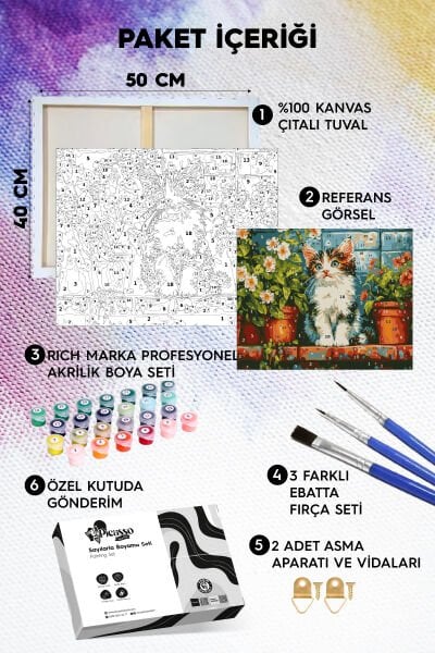 Minik Kedi Sayılarla Boyama Seti