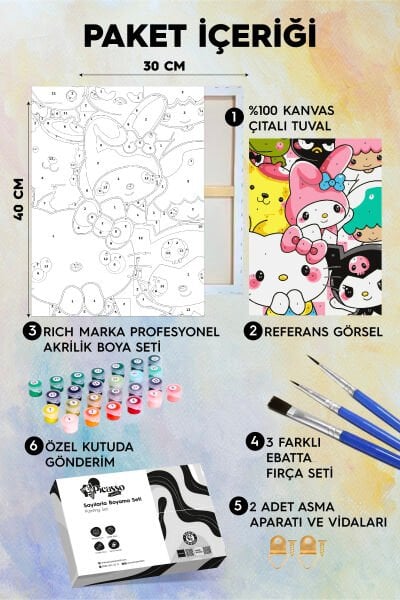 Sanrio Sayılarla Boyama Seti