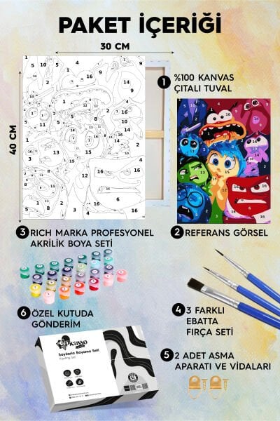 Ters Yüzün Duyguları Sayılarla Boyama Seti