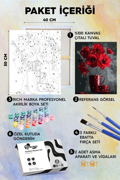 Kırmızı Gelincikler Sayılarla Boyama Seti