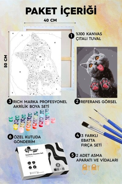 Munzur Kedi Sayılarla Boyama Seti