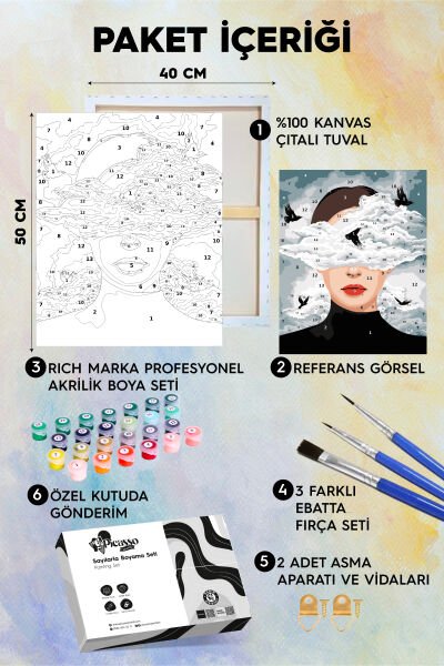 Başım Duman Sayılarla Boyama Seti