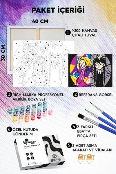 Wednesday Sayılarla Boyama Seti