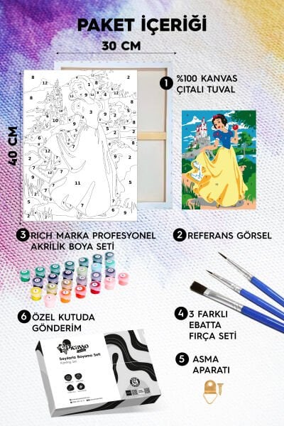 Pamuk Prenses Sayılarla Boyama Seti