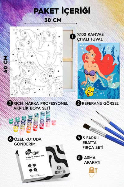 Ariel Deniz Kızı Sayılarla Boyama Seti
