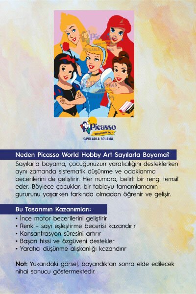 Prenses Kızlar Sayılarla Boyama Seti