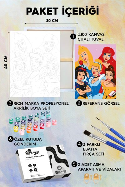 Prenses Kızlar Sayılarla Boyama Seti