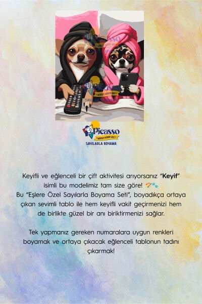Keyif Sayılarla Boyama Seti